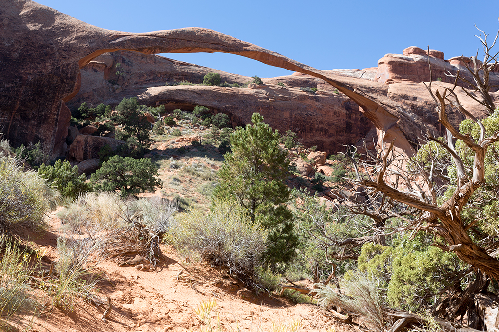 10-10 - 03.jpg - Landscape Arch, Arches National Park